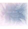 ice patterns of snowflakes and frozen feathers vector image vector image
