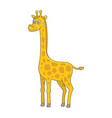baby giraffe vector image
