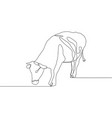 continuous line a beautiful cow is standing vector image