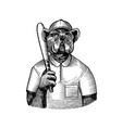 dog character bulldog baseball player with a bat vector image