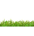 grass leaves seamless pattern vector image vector image