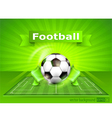 green playing field ball vector image