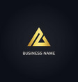 triangle gold business logo vector image vector image