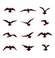 bird flying silhouette set wildlife icon vector image