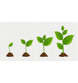 green sprout set isolated transparent background vector image vector image