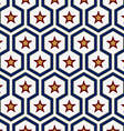 star pattern background vector image