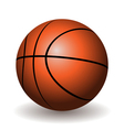 basketball vector image