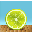 summer lime fruit vector image vector image