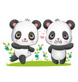couple panda is running and playing vector image vector image