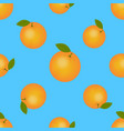 juicy ripe orange with green leaves citrus fruit vector image