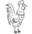 beautiful rooster vector image