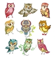 colorful birds set vector image