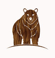 big brown bear standing graphic vector image