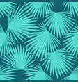 leaves of a palm tree seamless tropical summer vector image