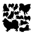 volpino italiano dog animal silhouettes vector image