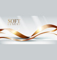 elegant product ribbon presentation banner light vector image vector image