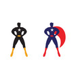 male superhero vector image