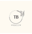 tb beauty initial logo art handwriting vector image