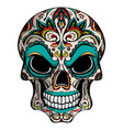 day of the dead skull with floral ornament vector image