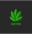 logo aloe vera plant natural cosmetics salon vector image
