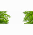 tropical frame with green palm leaves vector image