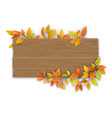 wooden sign with autumn tree branch vector image vector image