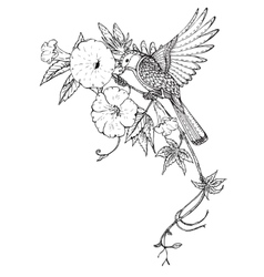 Two hand drawn graphic Royalty Free Vector Image