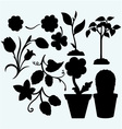 set plants vector image