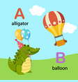 isolated alphabet letter a-alligator b-balloon vector image