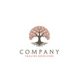 oak maple banyan family tree of life label logo vector image
