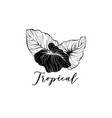 palm leaves hand drawn logotype template vector image vector image
