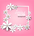 beautiful background with white spring flowers vector image