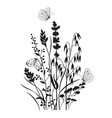 monochrome composition with butterflies vector image