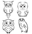 owls vector image