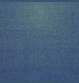 realistic denim jeans texture vector image