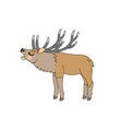 scandi cartoon animal clip art vector image vector image