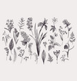 set with spring flowers vector image vector image
