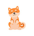 cute shiba inu dog sitting adorable funny japan vector image