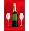 bottle of champagne vector image