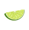 lime slice isolated on white vector image