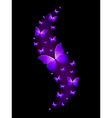 butterfly vector image vector image
