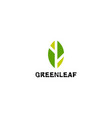 leaf logo vector image
