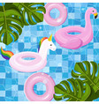 pool floating toys summer card background vector image vector image