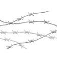 several lines glossy realistic barbed wire vector image vector image