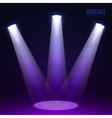 spotlight shine effects on a dark background vector image
