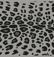 leopard pattern design background vector image