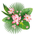 tropical botanical composition pink lotus green vector image