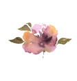 watercolor flower hand drawn colorful beautiful vector image vector image