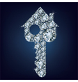 house key made up a lot of diamonds vector image