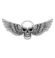 winged skull design element for emblem sign vector image vector image